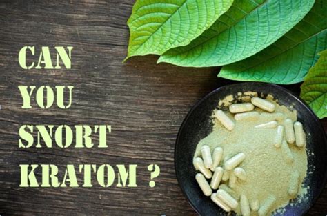 Do people snort kratom. Things To Know About Do people snort kratom. 
